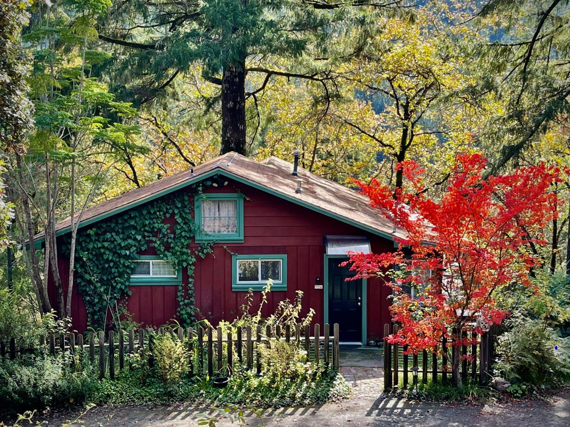 Avenue Of The Giants Caraway Cottage Miranda Esterno foto