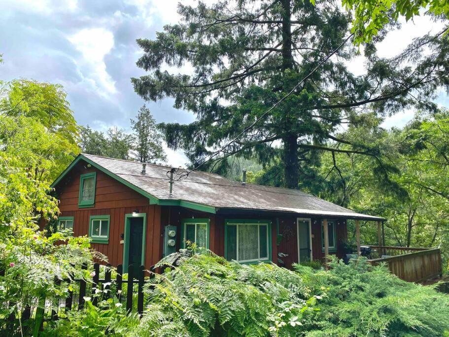 Avenue Of The Giants Caraway Cottage Miranda Esterno foto