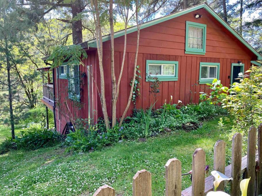 Avenue Of The Giants Caraway Cottage Miranda Esterno foto