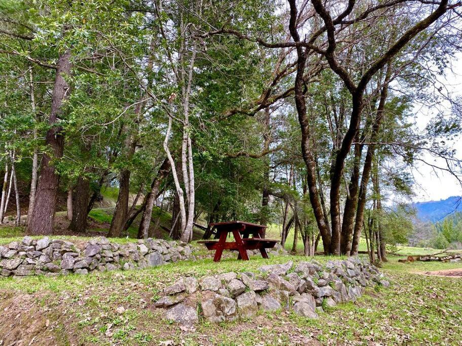 Avenue Of The Giants Caraway Cottage Miranda Esterno foto